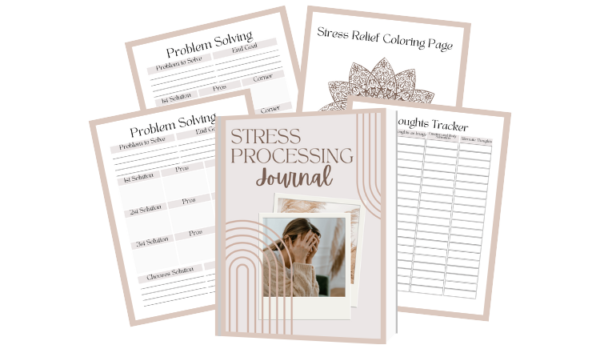 Digital Stress Processing Journal