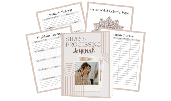 Digital Stress Processing Journal